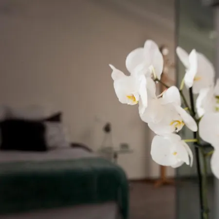 فندق مبيت وإفطار San Clemente 3*